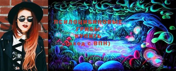 соль ск Алексин