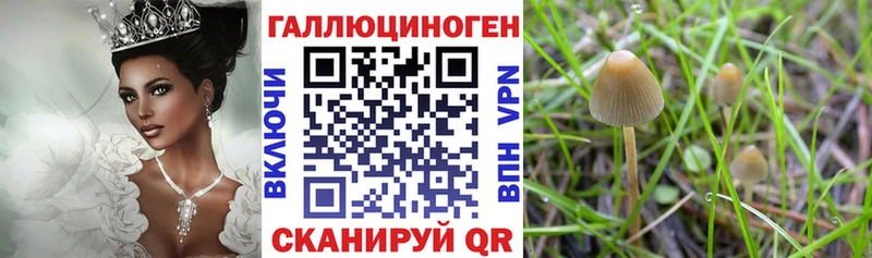 Псилоцибиновые грибы прущие грибы  KRAKEN ССЫЛКА  Бабаево  закладка 